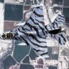 F-16C Fighting Falcon (14)
